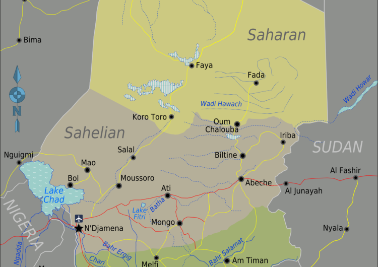 Tchad: Point de situation au 25 février – Boko Haram, L’UE et le G5 Sahel