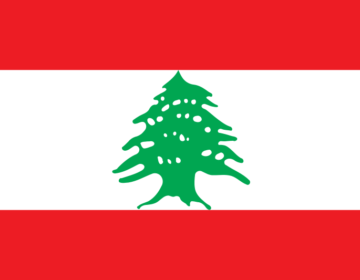 Liban : Les manifestations se poursuivent alors qu’un nouveau gouvernement s’est formé