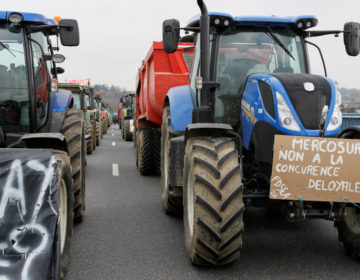 Accord Mercosur-UE : une souveraineté française défaillante en matière agricole